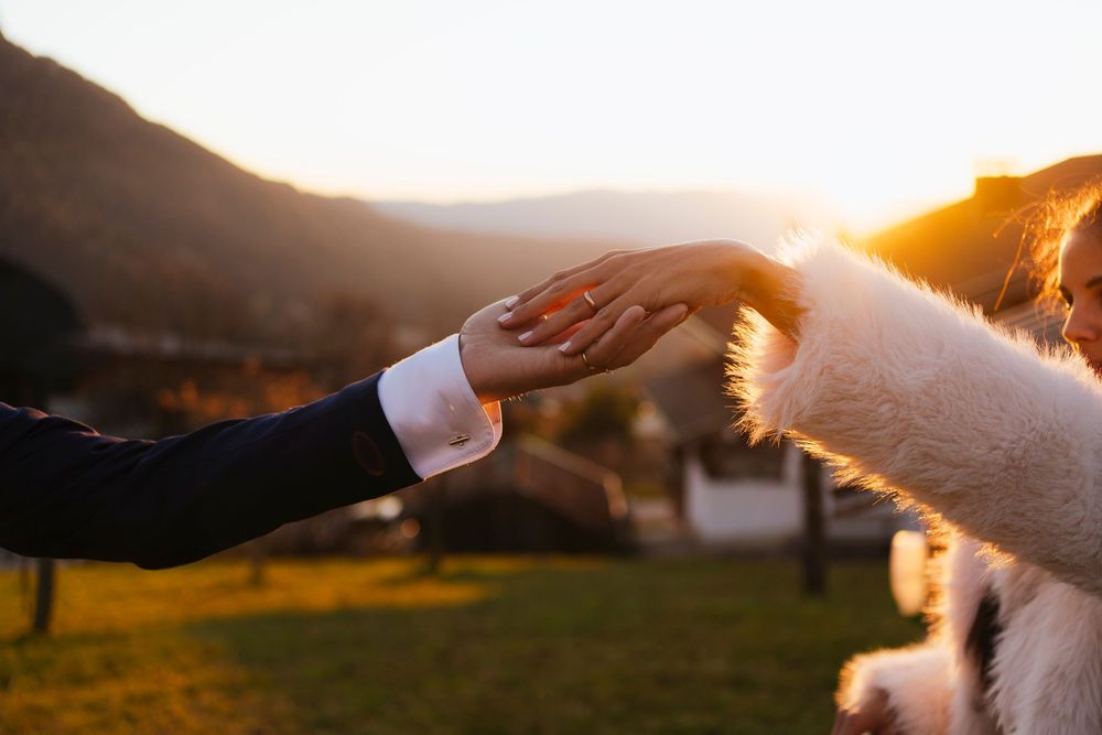 A hand gently reaches out to touch a dog's paw at sunset, creating a warm and intimate moment in golden light.