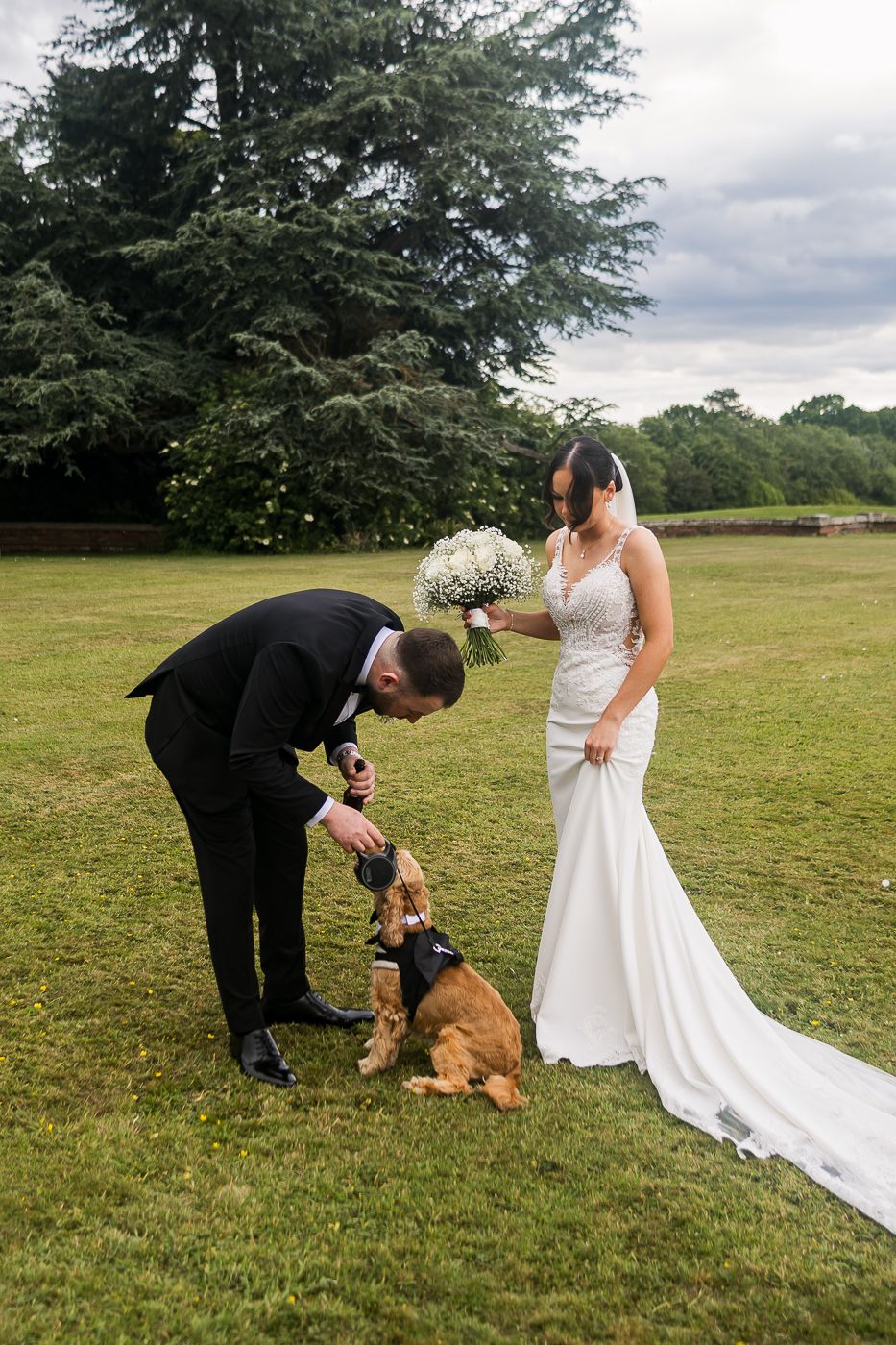 Wedding couple interacting with their dog during outdoor photo session.