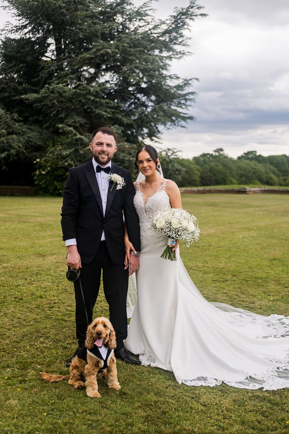 Wedding couple poses with brown dog in grassy field with cloudy sky.