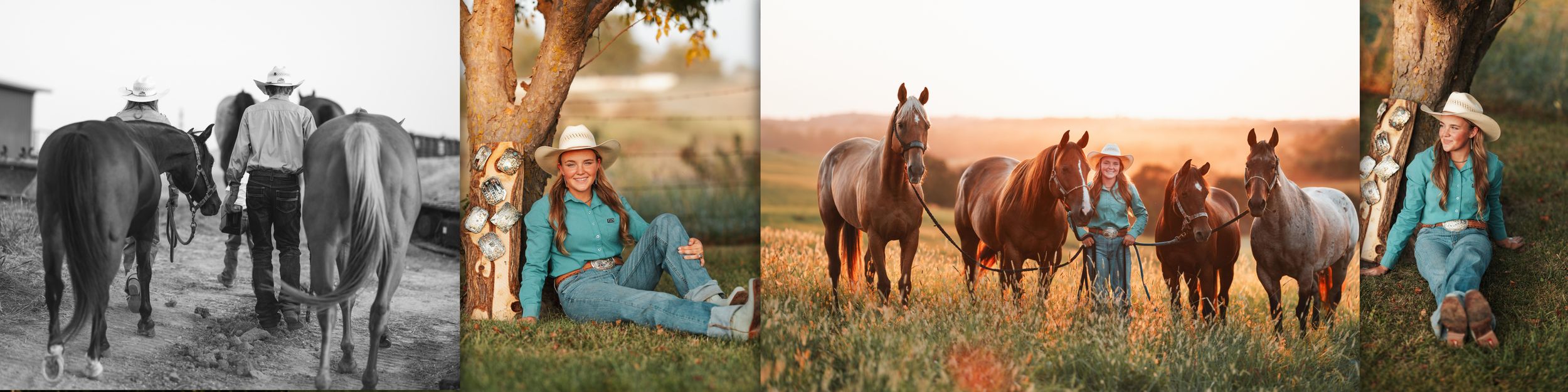 A collage of horse photos showing different breeds and poses in natural outdoor settings.