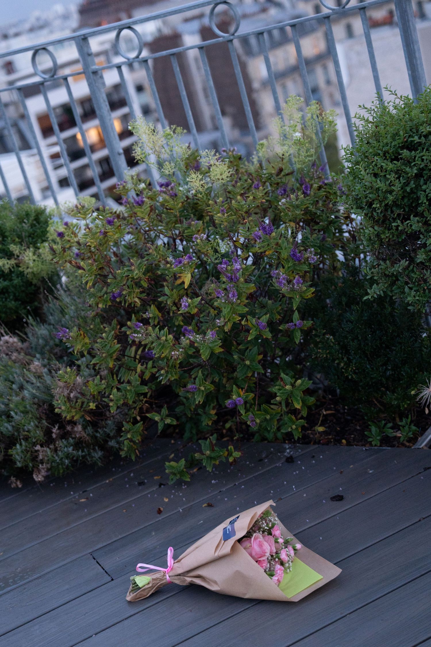 Pink flowers bloom against green foliage on a wooden deck with metal railings in the background.
