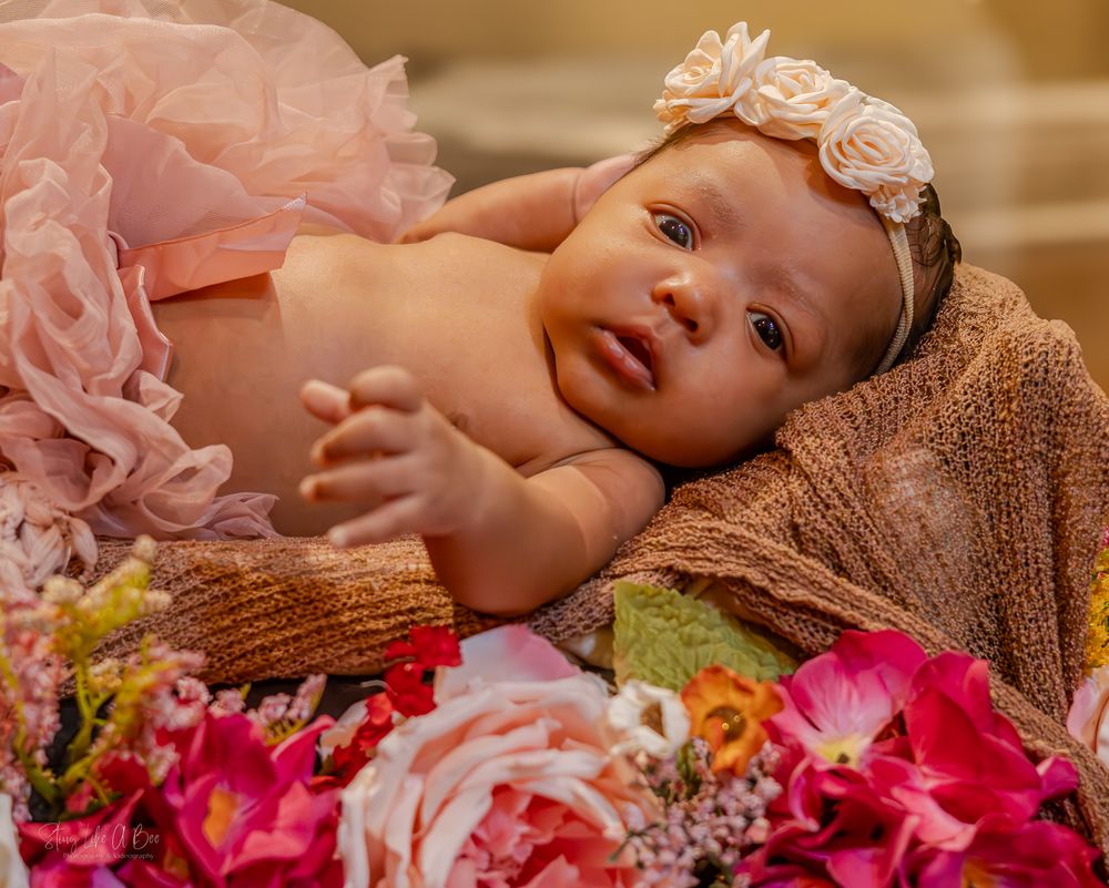 Family photography, baby photography