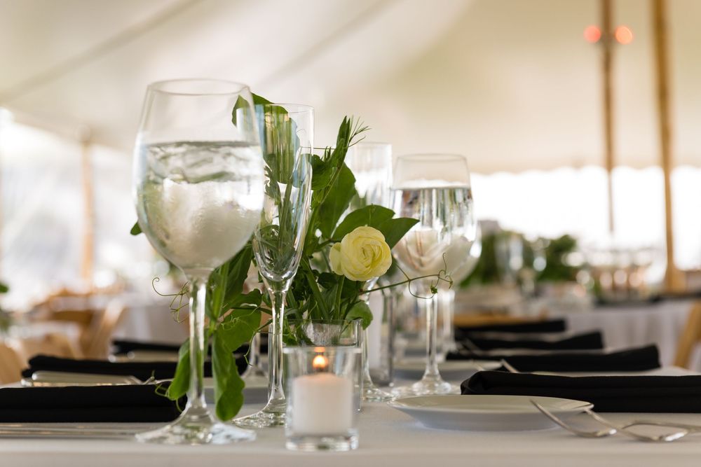 Eisenhower House summer wedding 
Newport Rhode Island authentic candid photographer