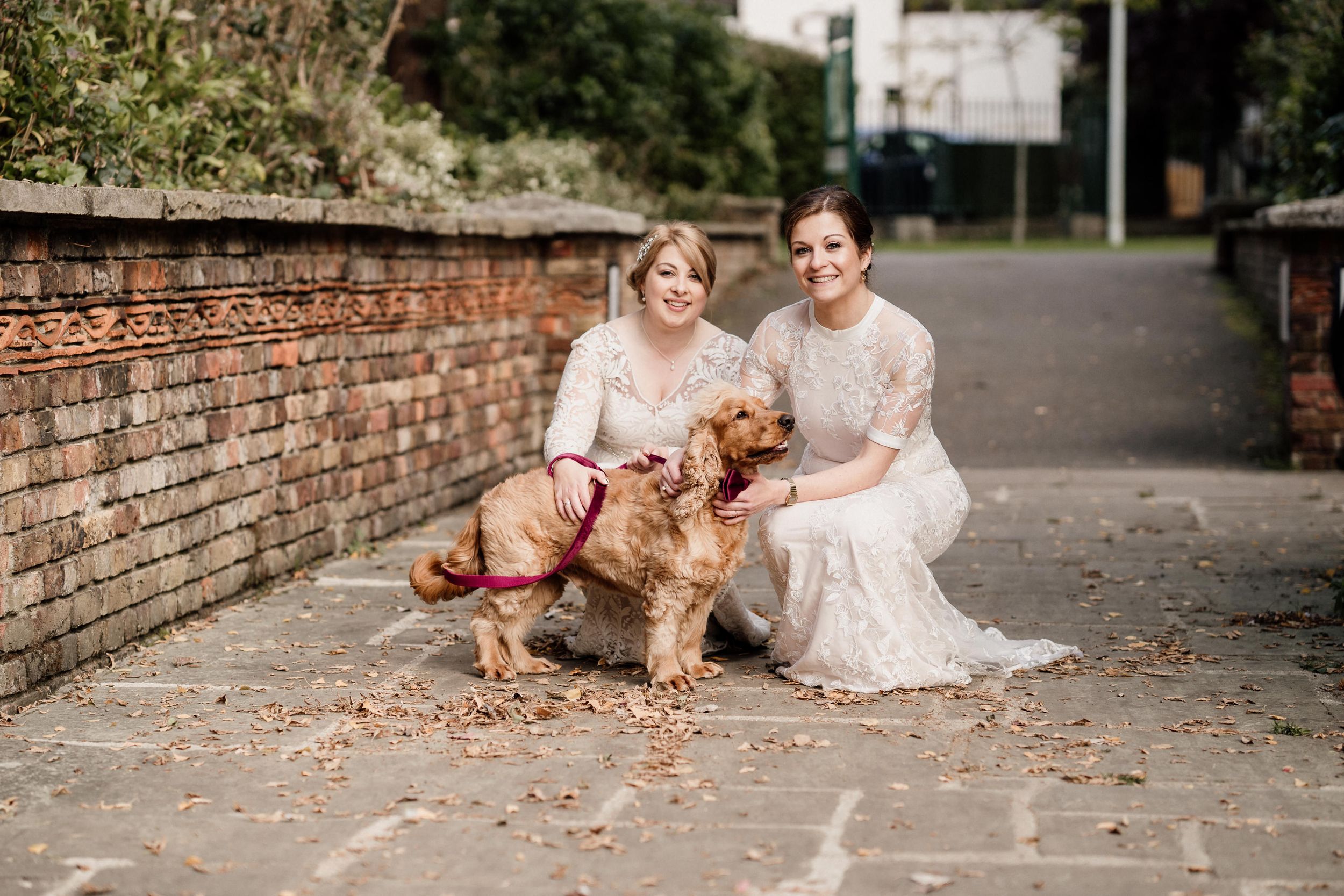 A golden-haired dog sits with two people in white lace dresses against a brick wall.