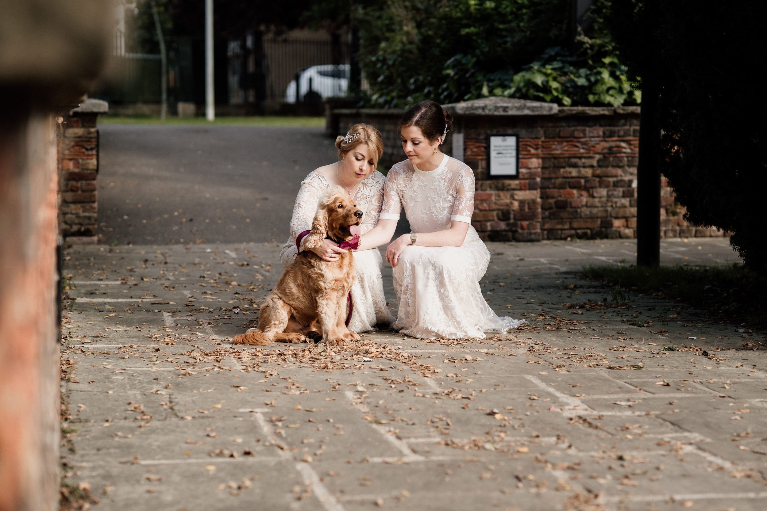 A golden dog sits attentively next to two people in elegant white dresses during a photo session.