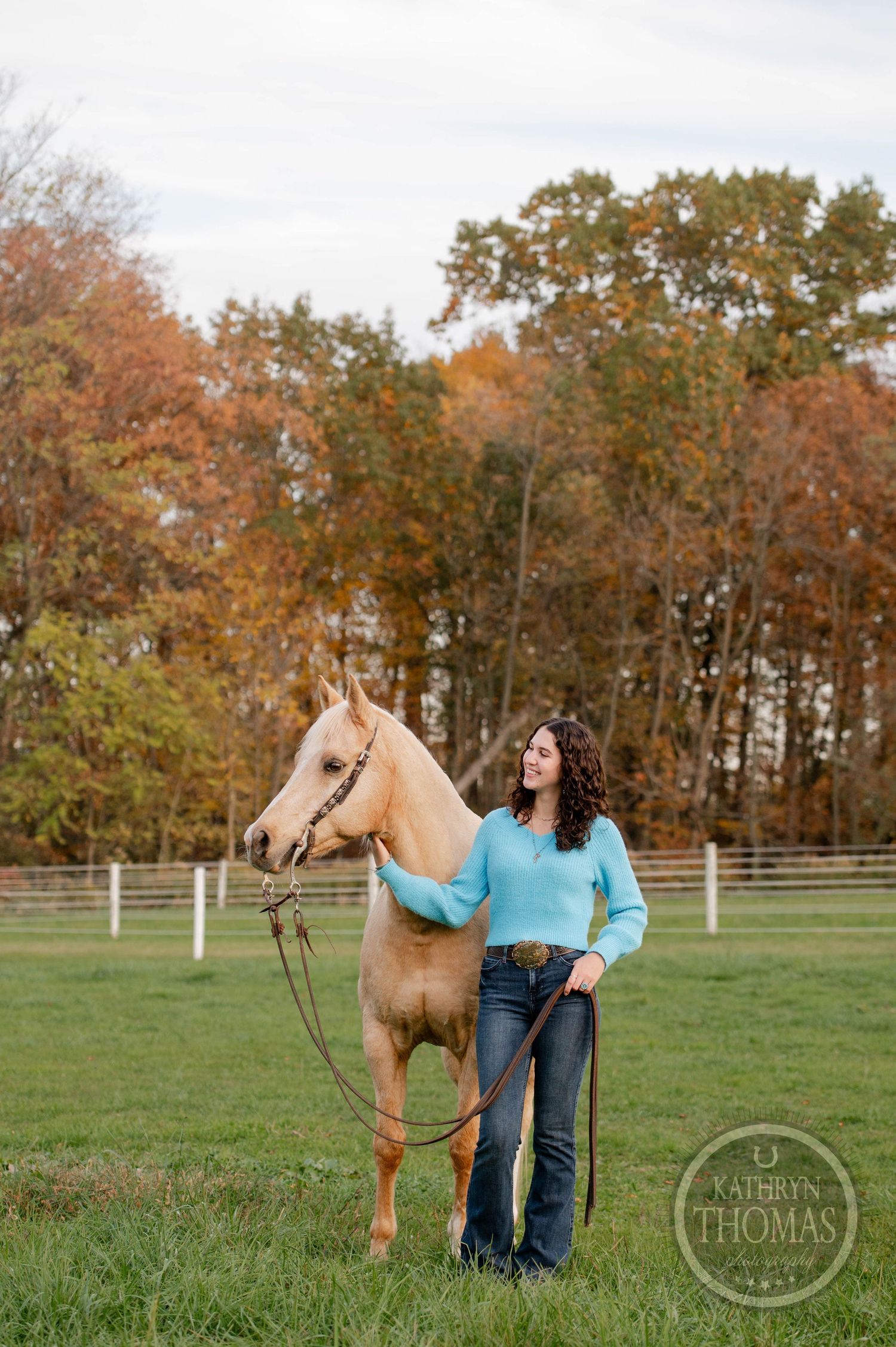 A palomino horse with light mane poses in a fenced field during autumn season.