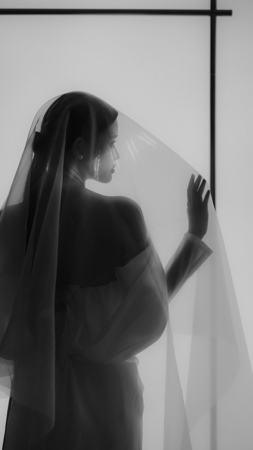 A silhouetted figure in profile stands behind a sheer veil creating a dreamy black and white artistic effect.