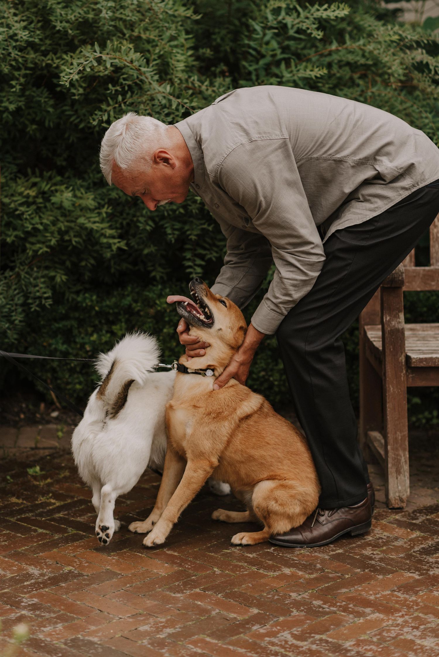 Person in formal attire pets a brown and white dog on a brick patio.