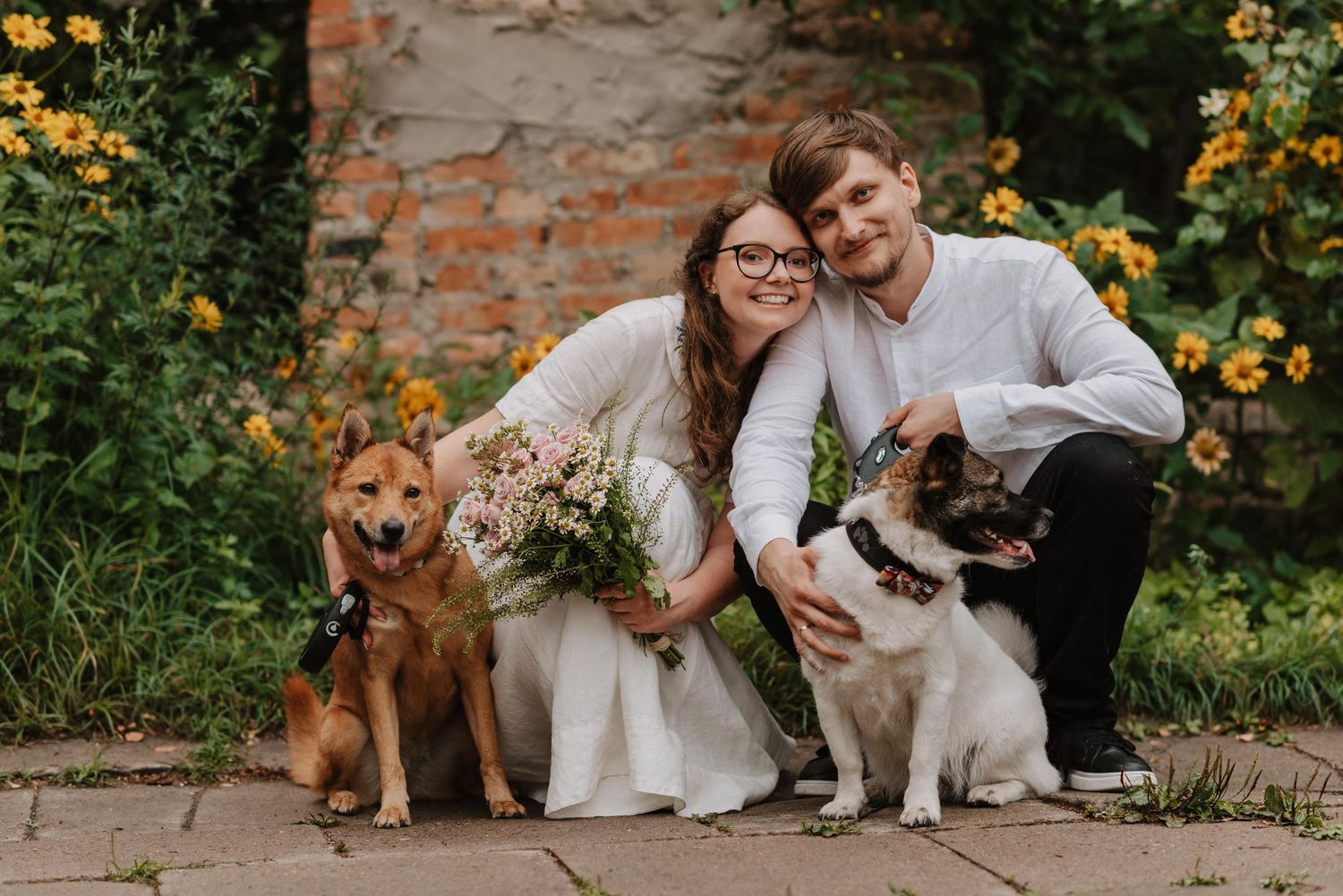 Wedding couple poses with their brown and white dogs among yellow flowers in a garden setting.