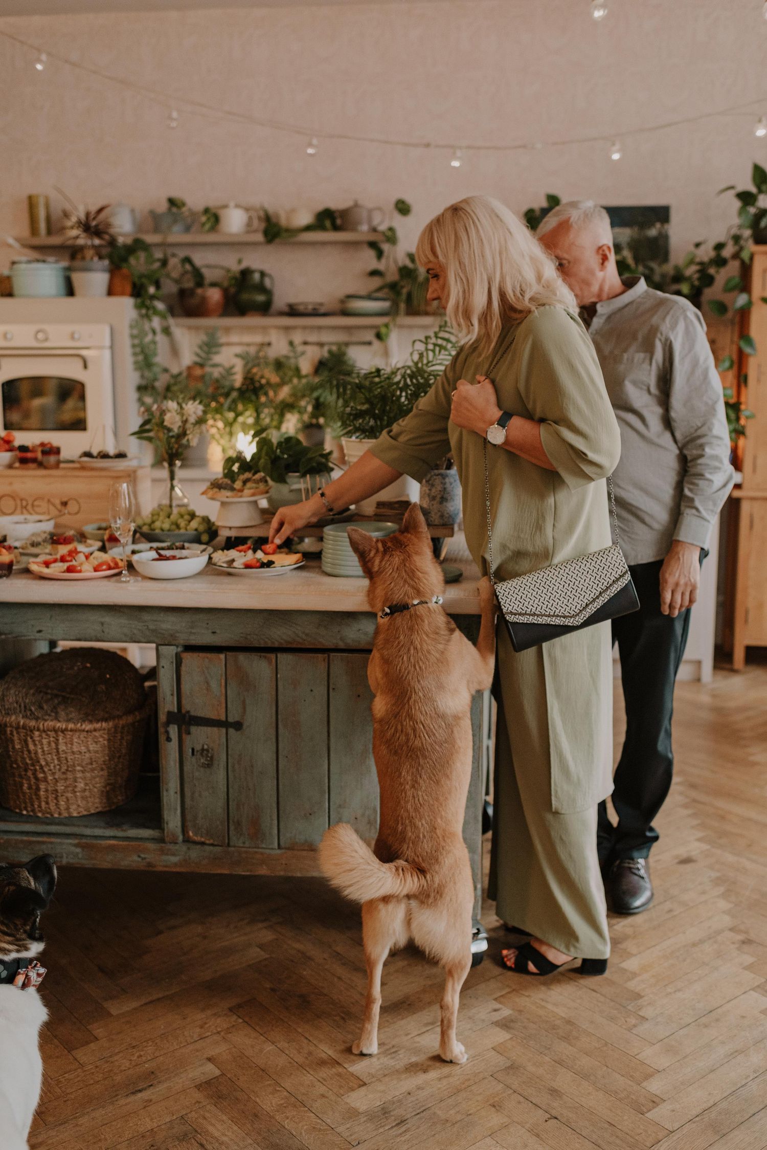Two dogs standing on hind legs greeting people in a cafe with wooden floors.