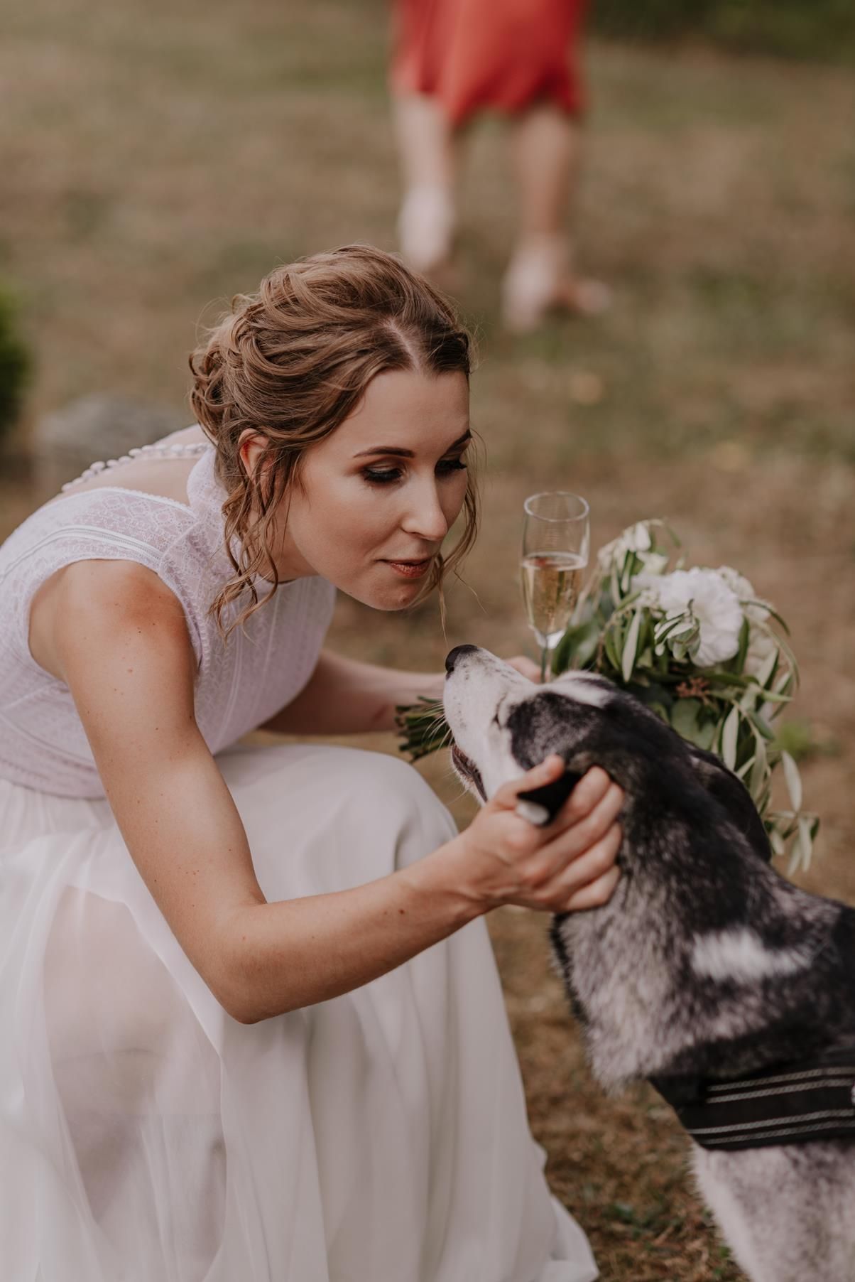 A bride in a flowing white dress bends down to greet a gray and white husky dog.