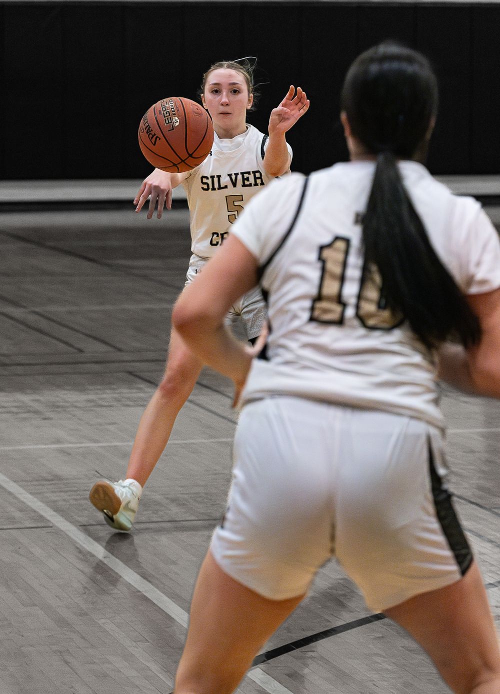 Silver Creek Central School varsity sports