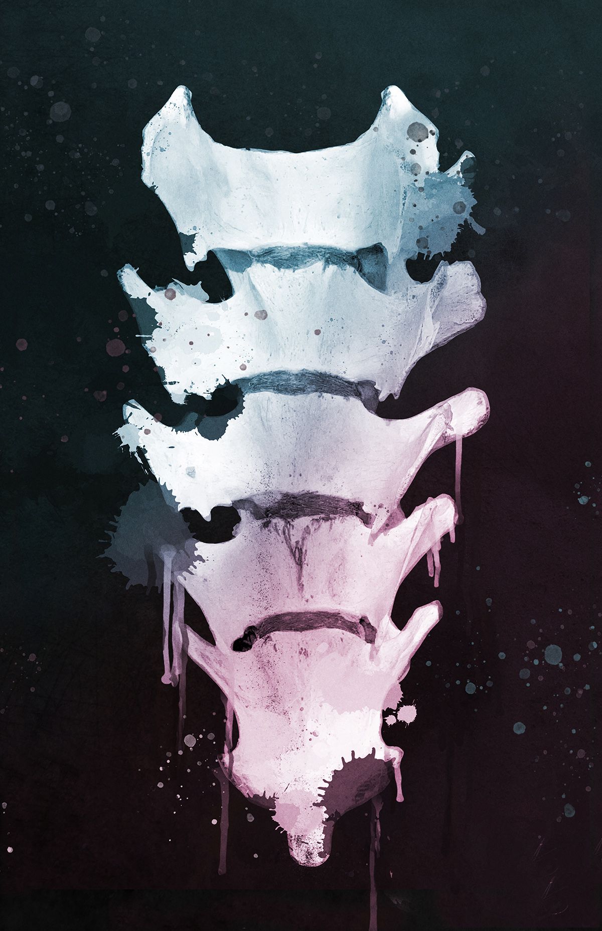 Pride Spine by Ash Moon