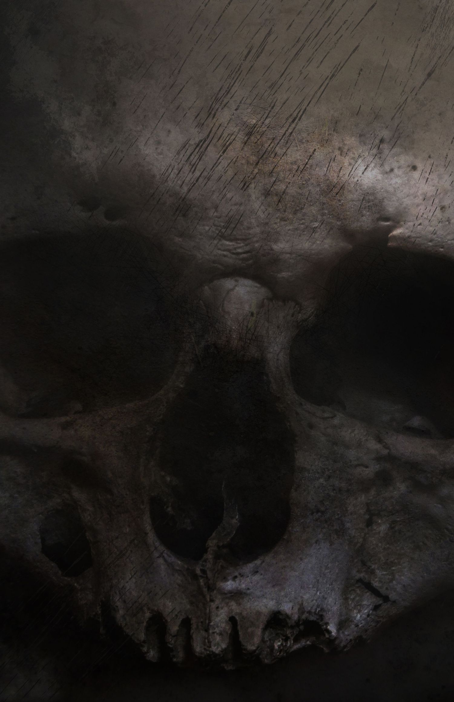 Skull by Ash Moon