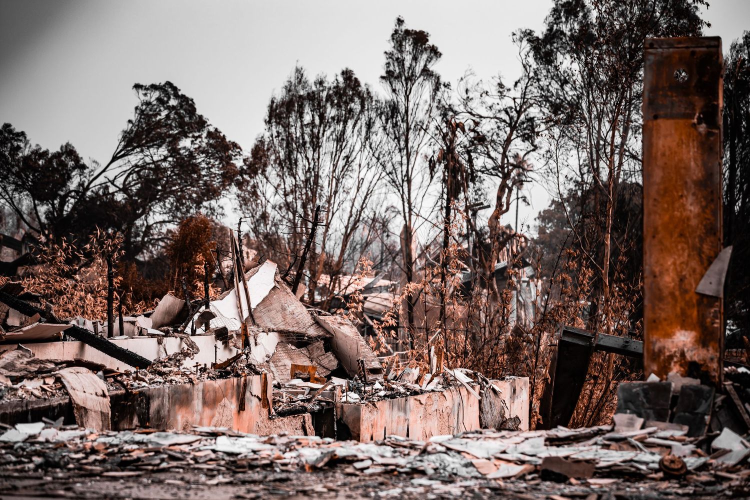 Devastated landscape showing burnt trees and destroyed structures in moody lighting.