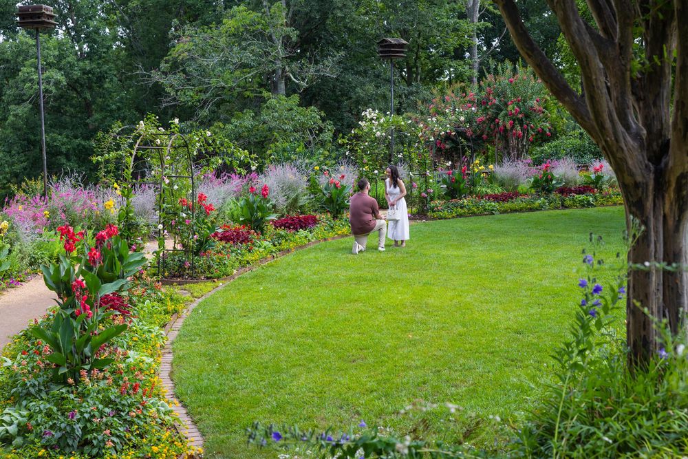 Couple strolling through a lush garden with colorful flower borders and green lawn.