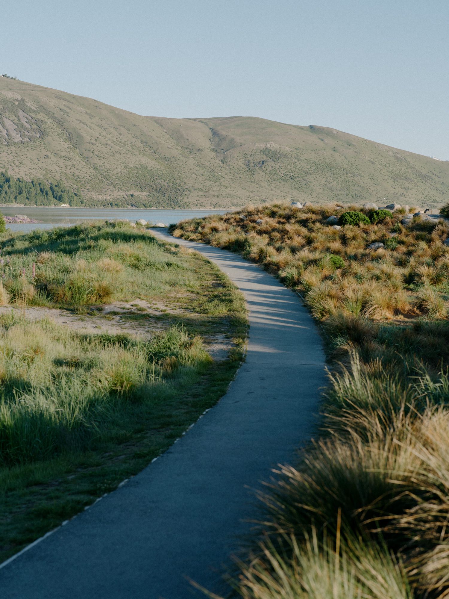 Winding paved pathway through golden tussock grass with hills and lake in the distance.