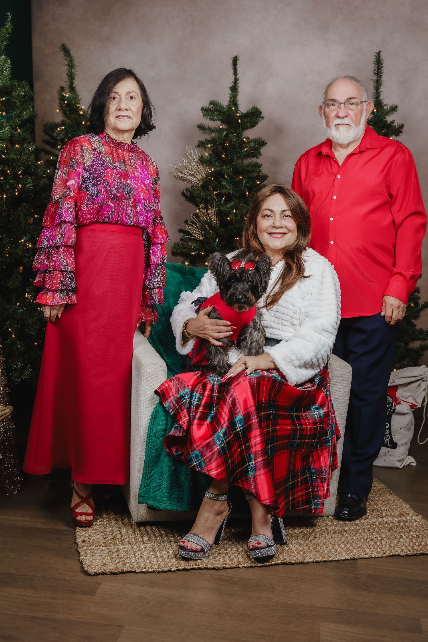 Holiday portrait with small dog in festive attire surrounded by Christmas trees.