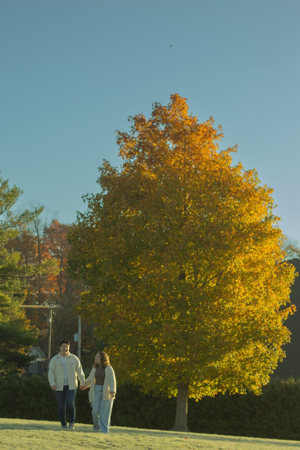 A couple walks hand in hand on a grassy hill beneath a vibrant golden autumn tree against a blue sky.