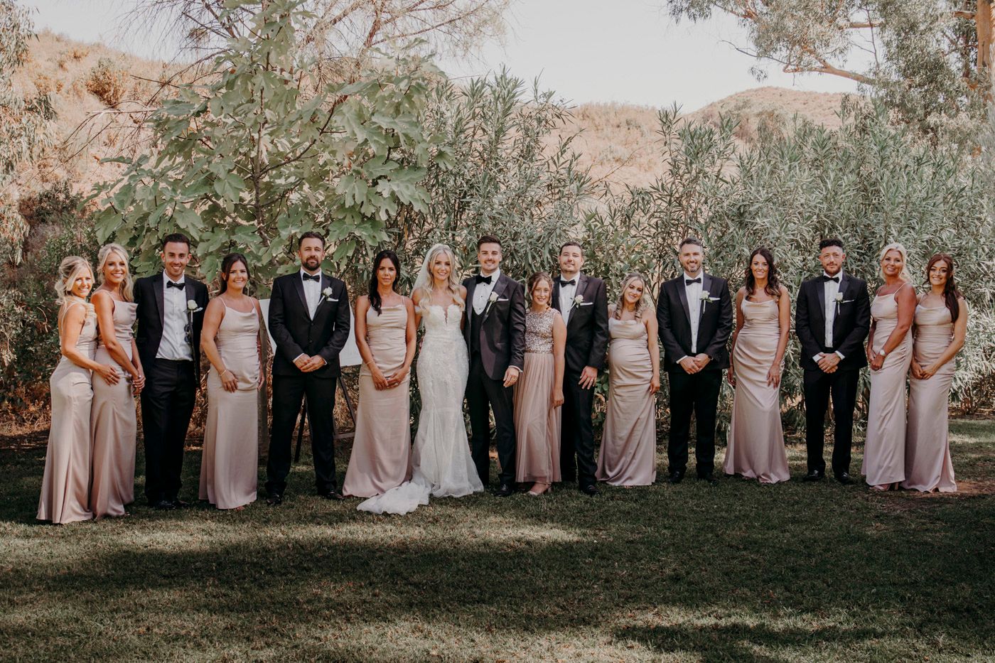 Wedding party in formal attire stands together on grass lawn with desert landscape and trees in background.