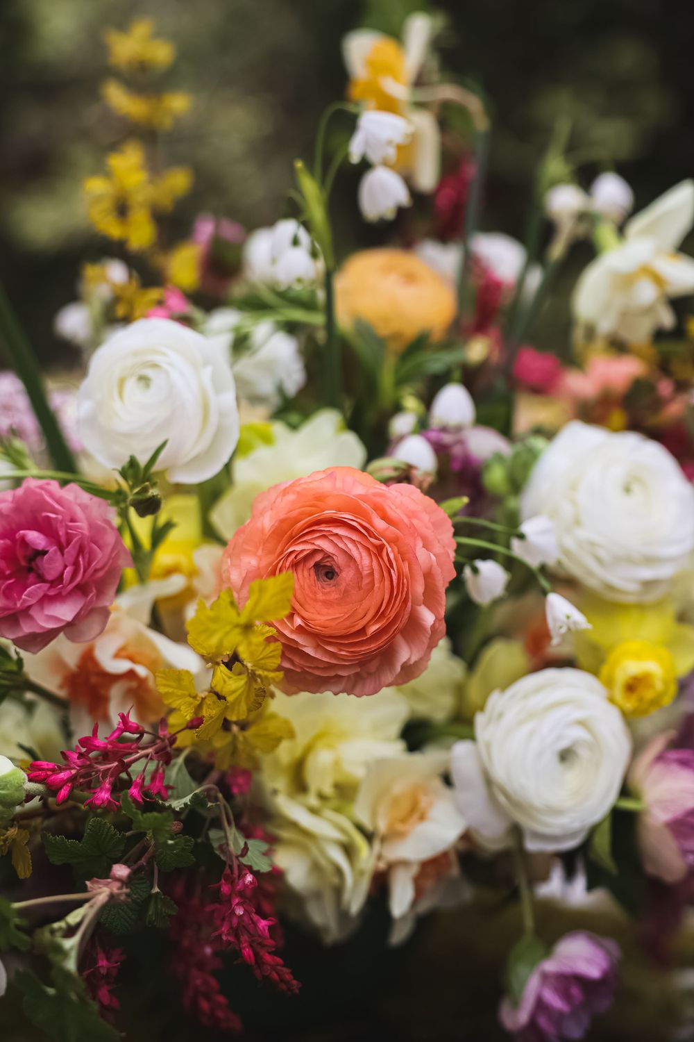 Colorful ranunculus and mixed flower arrangement with white, coral, and pink blooms in soft focus.