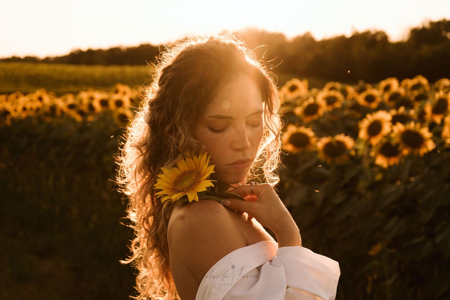 Romantico servizio fotografico al tramonto tra girasoli con bagliore dorato retroilluminato.