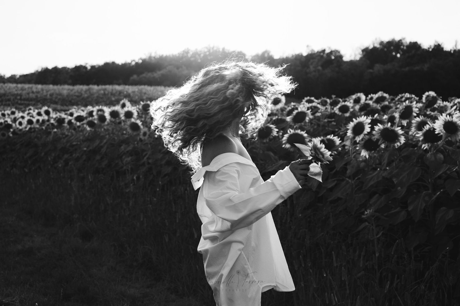 Ritratti eterei in un campo illuminato dal sole di girasoli con camicia.