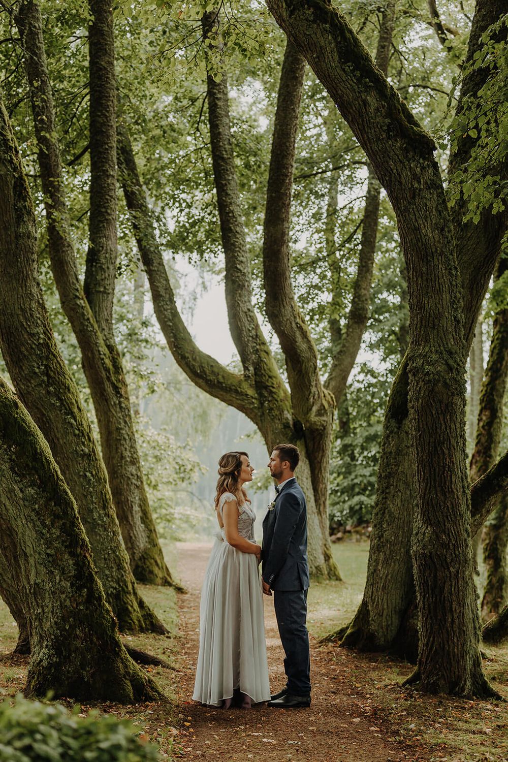 Romantic wedding portrait of couple standing among ancient trees on misty forest path, photograph by Dina Ozola.