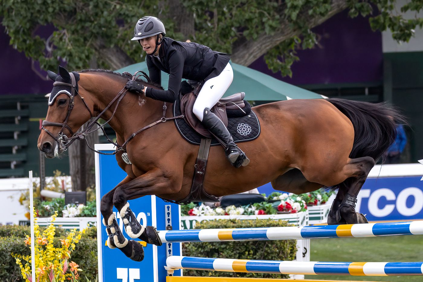 A person riding a horse jumps over an obstacle in an equestrian event.