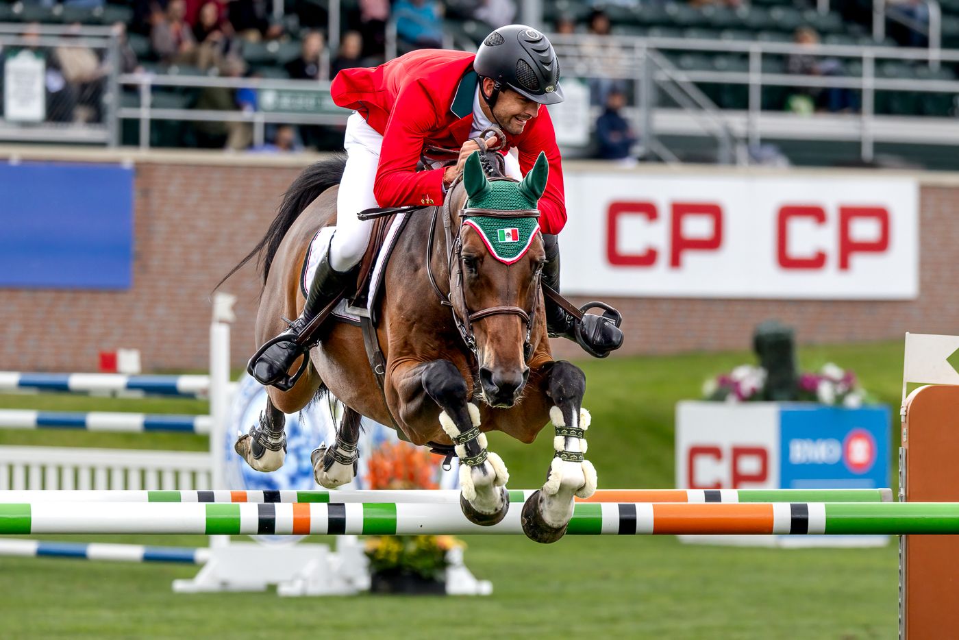 Equestrian jumper clearing an obstacle during a competition with CP sponsor banners visible.