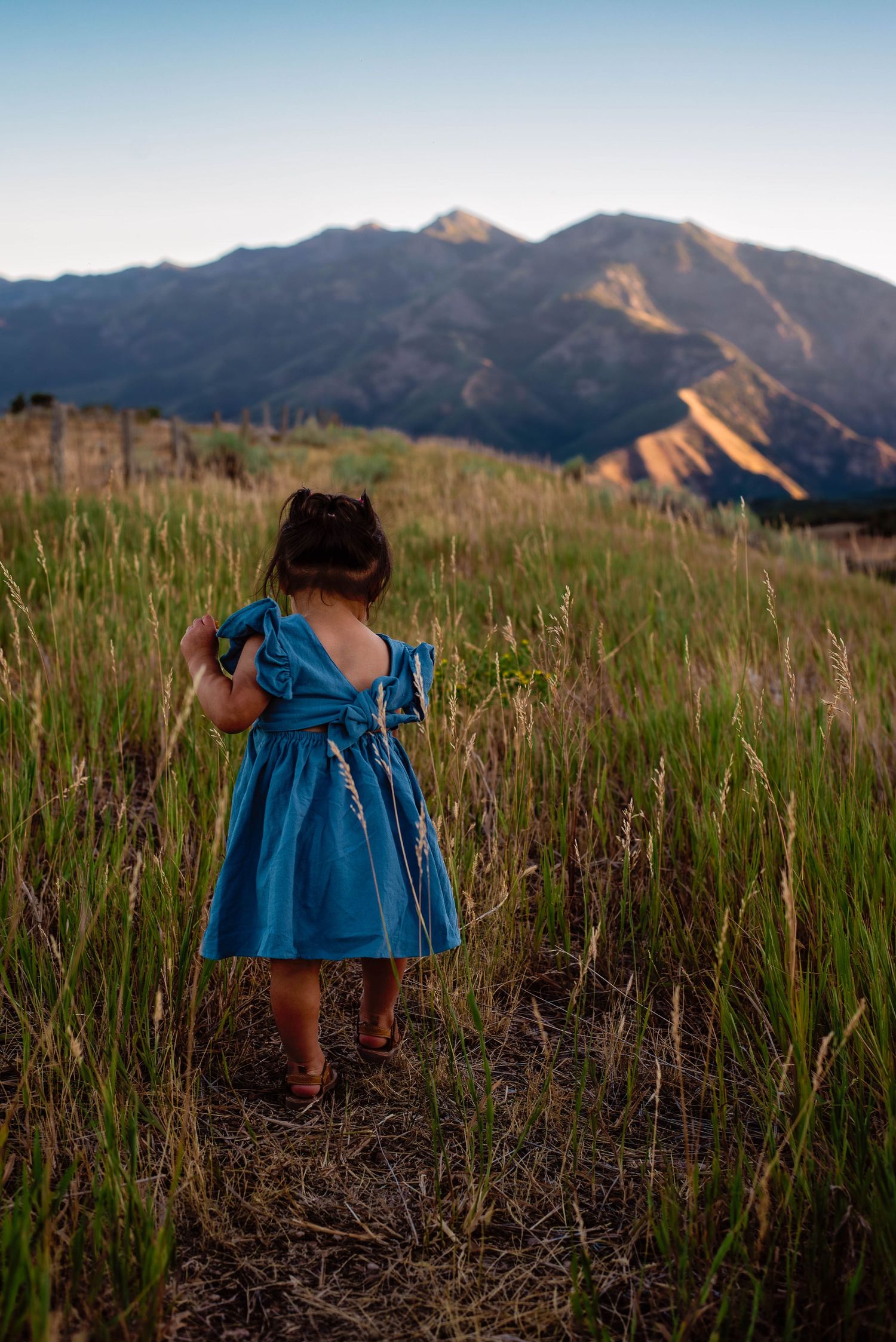 toddler walking through a field during the fall with beautiful mountains in the background in Snowbasin, Utah