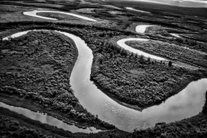 Aerial picture of an S-shaped river in Alaska, black and white.