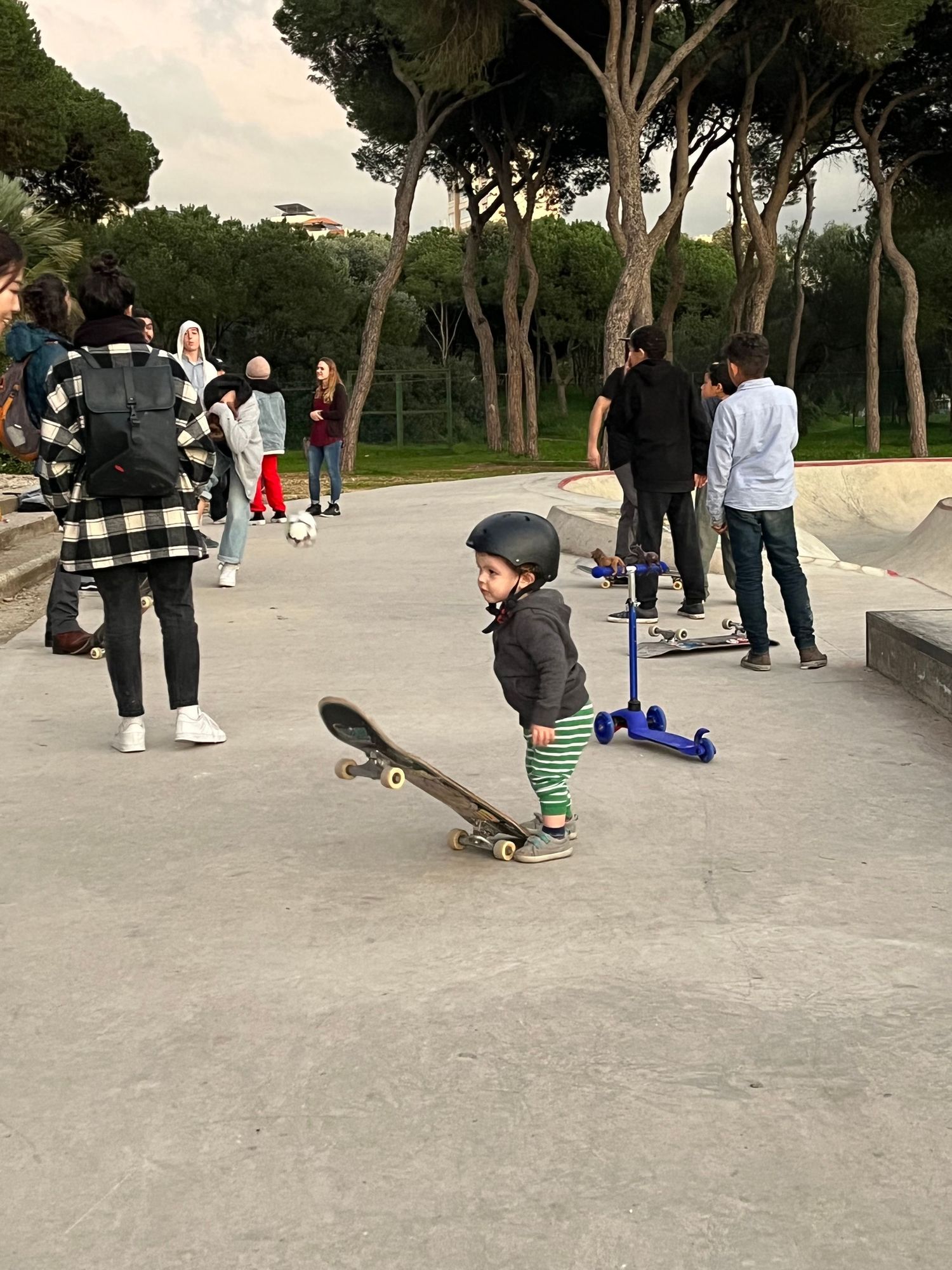 Sequence of skateboarding action shots showing jump attempts and tricks on a concrete path surrounded by trees.