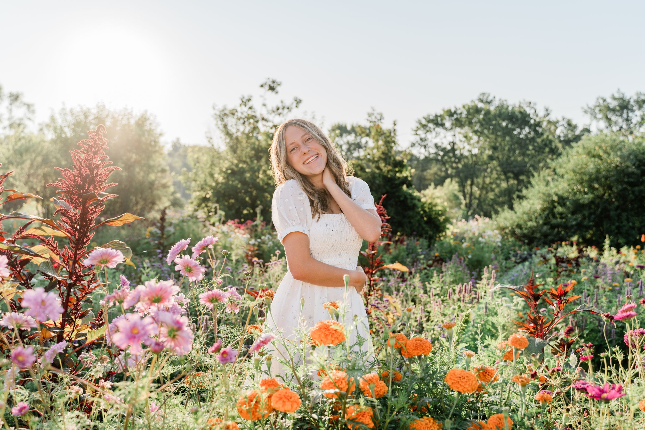 Vibrant orange poppies and pink cosmos flowers bloom in a sunlit garden with golden hour glow.