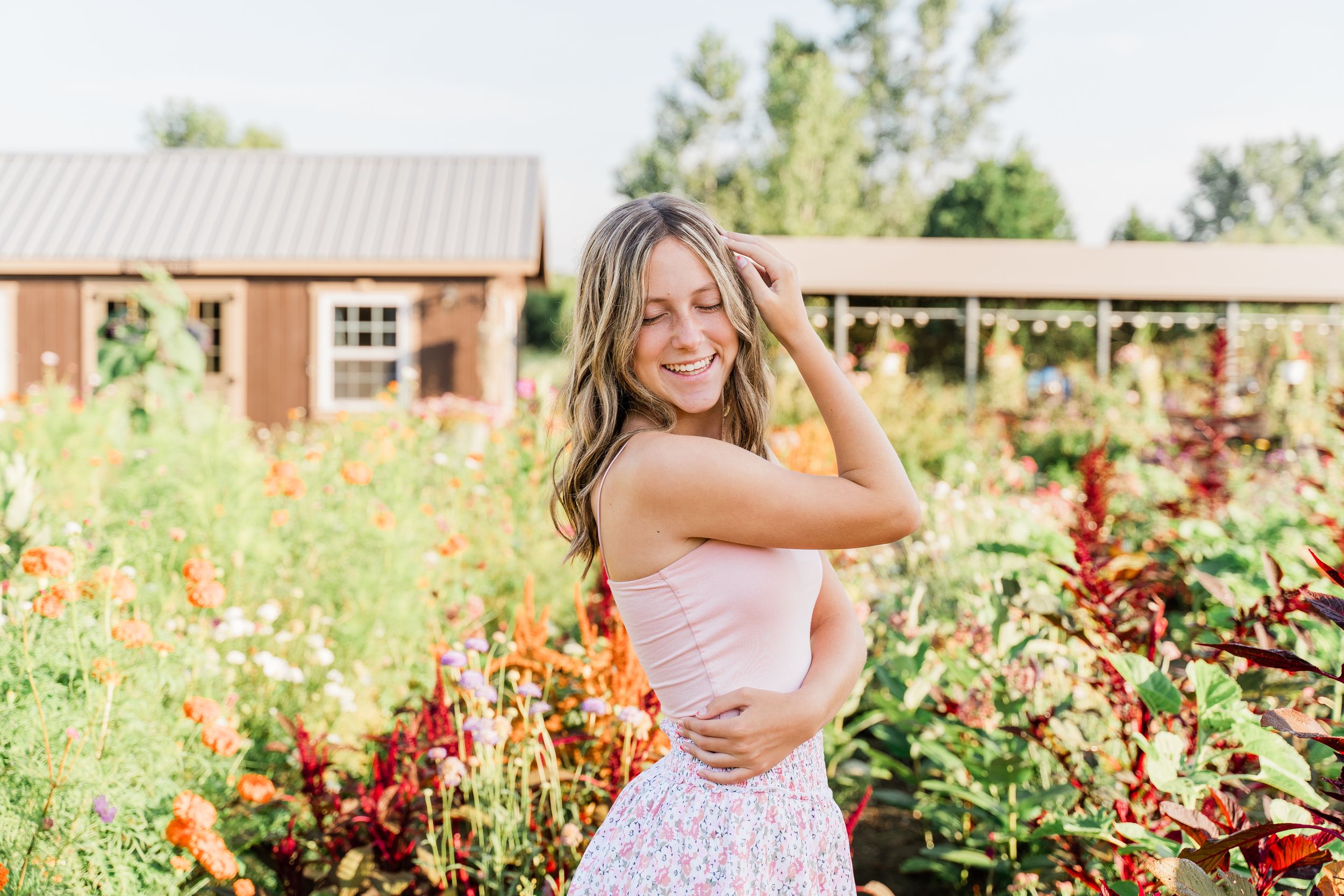Bright zinnia flowers blooming in a sunny garden with rustic farm buildings in the background.