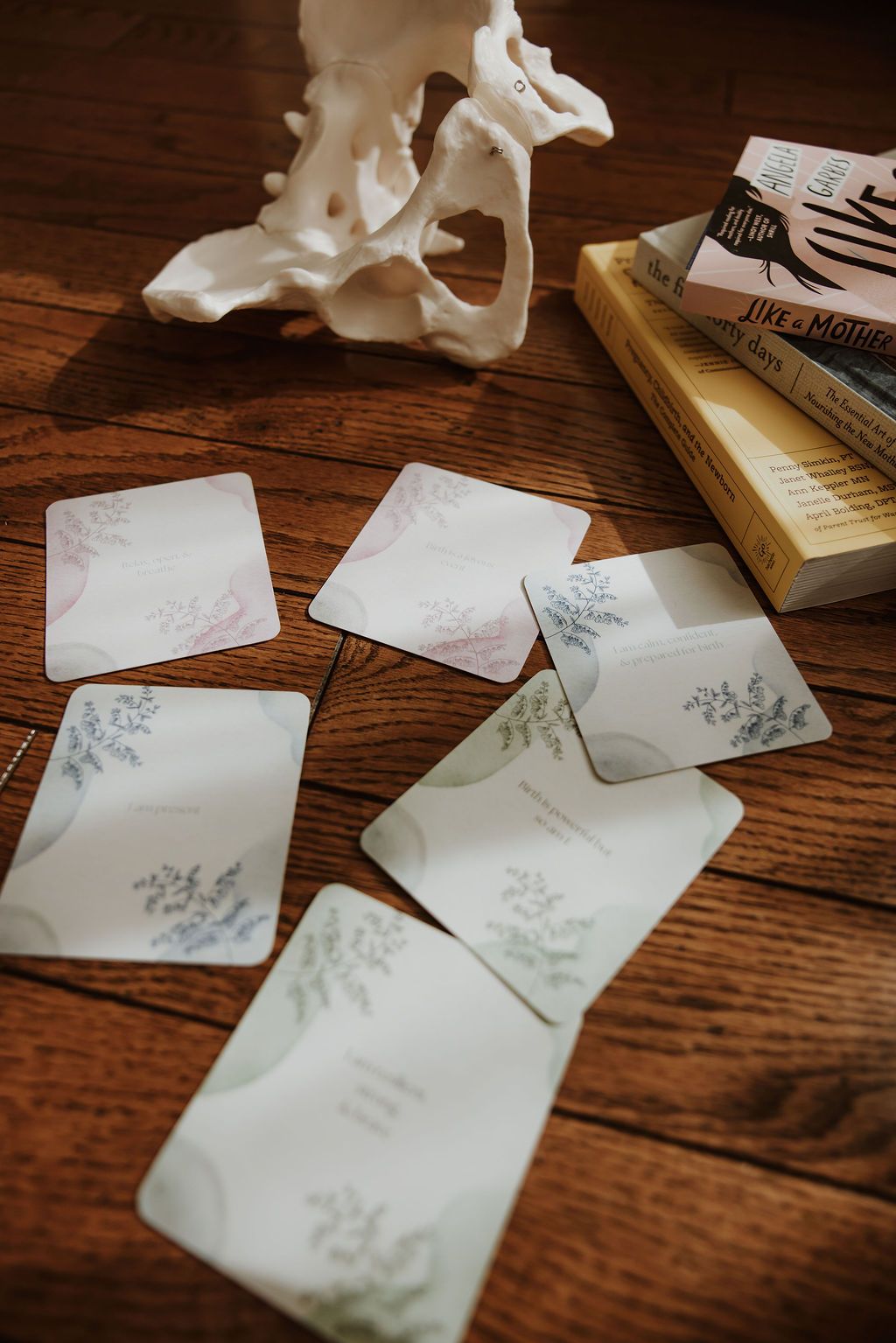 birth affirmation cards, pelvis model, doula books