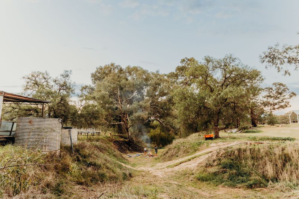 Kristielle Gibbons Photography, a romantic, earthy, landscape photo of the kids.