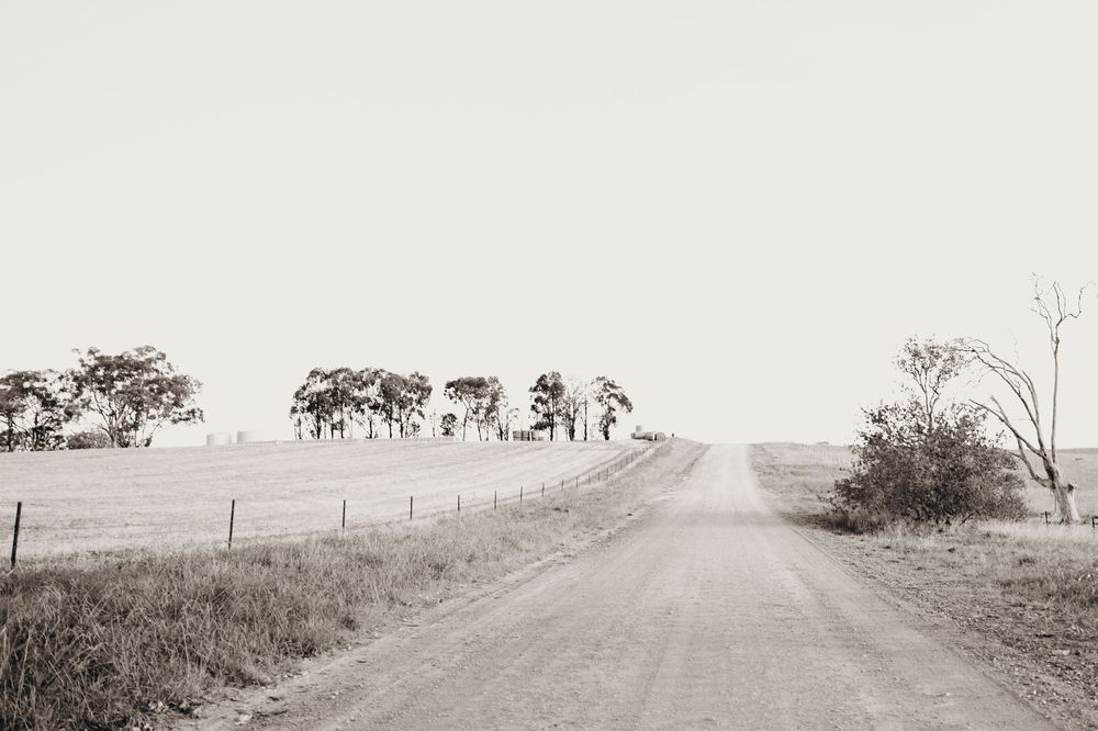 Kristielle Gibbons Photography art.