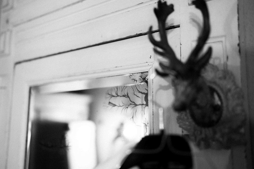 Artistic black and white photo of decorative deer antlers casting shadows on a wall.