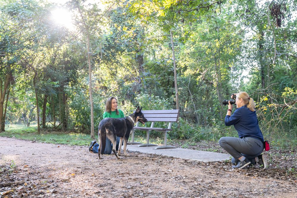 Kelly J. Russo using natural light technique to photograph a relaxed black-coated dog during a pet session