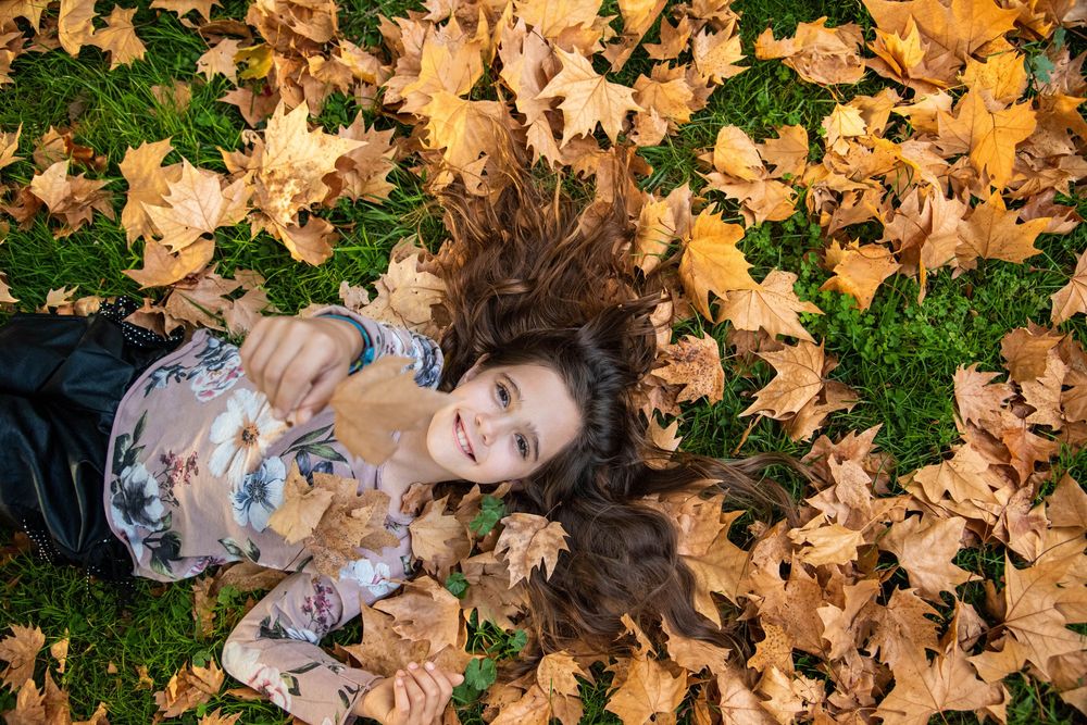 A sequence of autumn scenes with someone lying in vibrant golden maple leaves on green grass under sunlight.