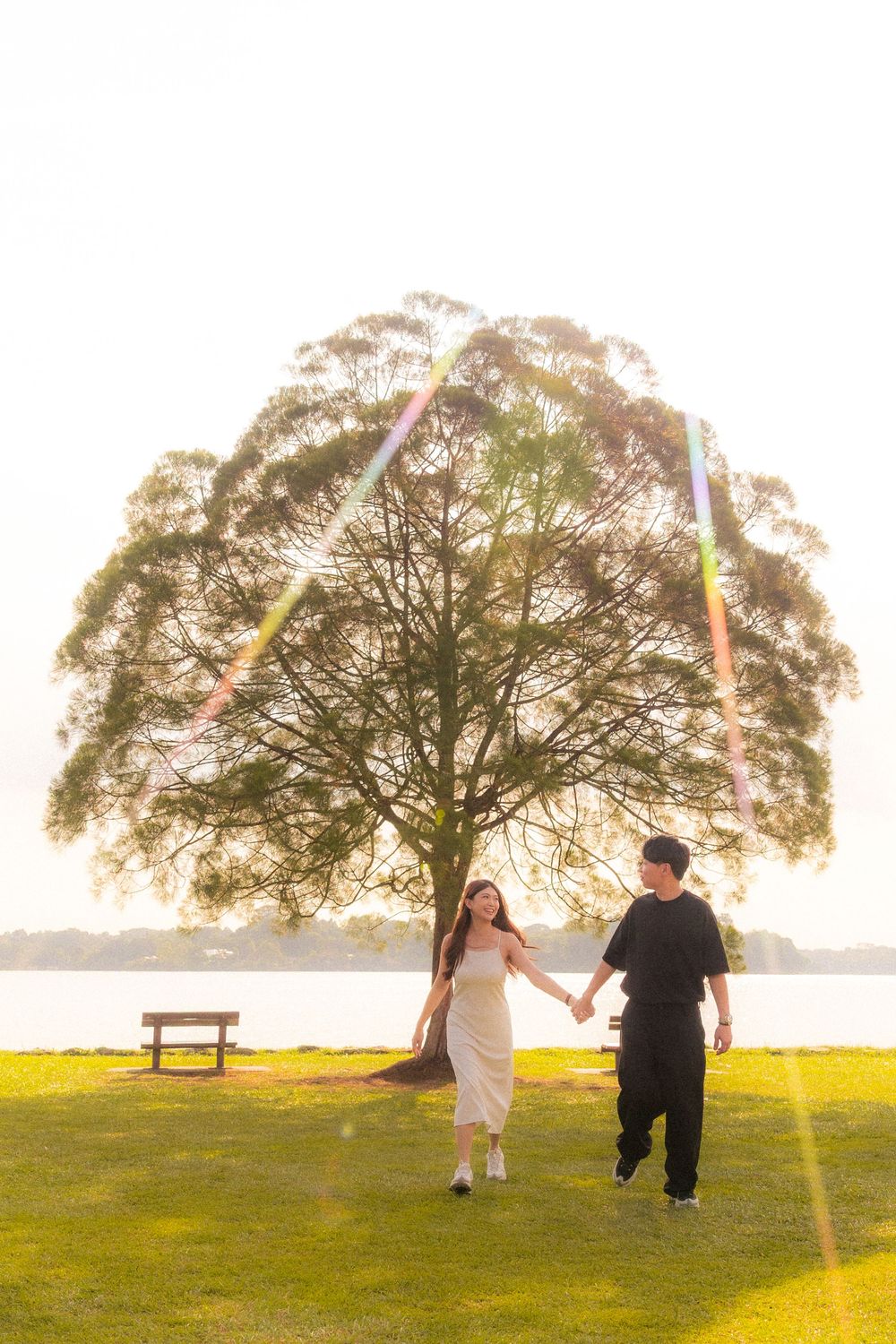 A couple runs hand in hand through a sunlit park with a large tree and bench by the waterfront.