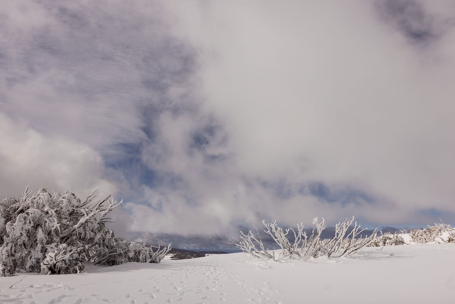 Snow covered mountain landscape with frosted trees and dramatic cloudy skies in the winter wilderness at Falls Creek Resort.