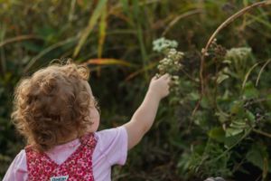 A child reaching up to touch flowering plants in a garden while wearing a red dress.