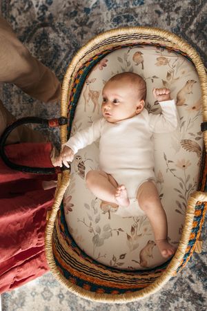 Baby in white onesie lying in vintage floral-upholstered bassinet with red velvet fabric draping side.