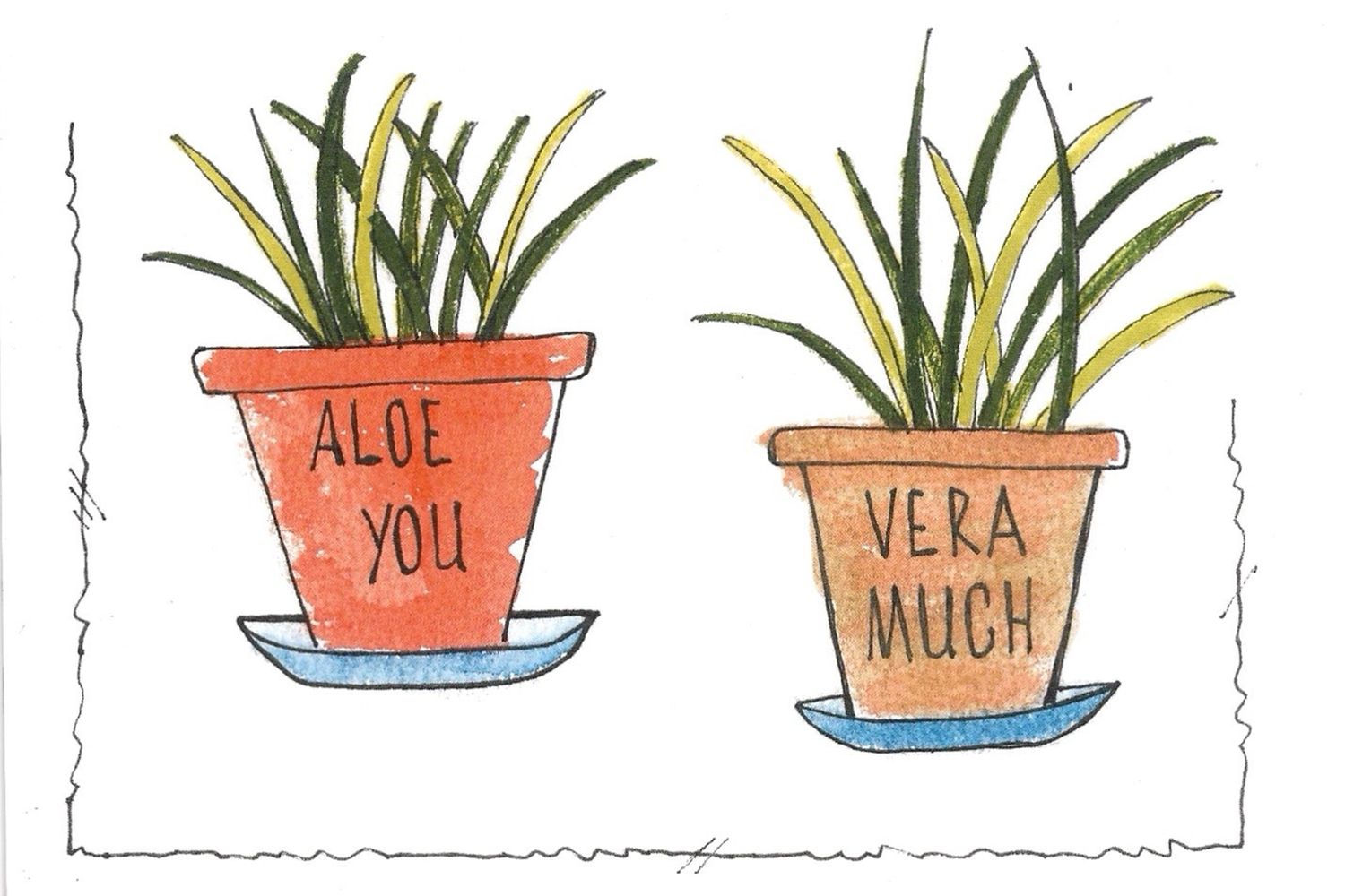 A series of aloe vera plants in terracotta pots with cute smiling faces and green spiky leaves.