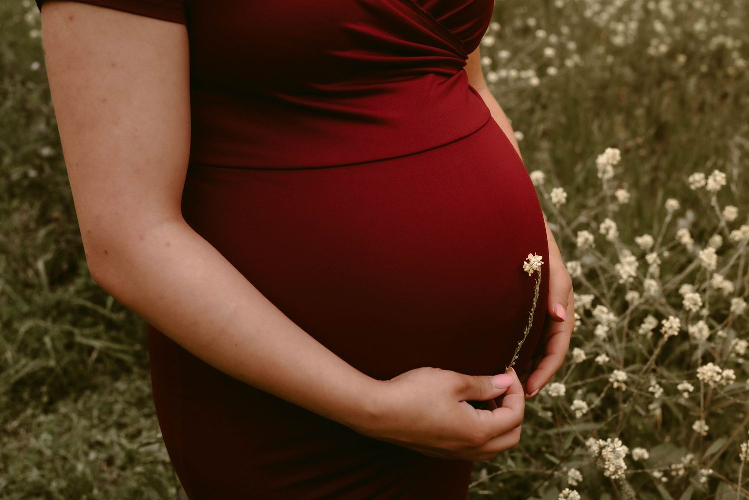 Close-up of pregnant belly in red dress against backdrop of white wildflowers.