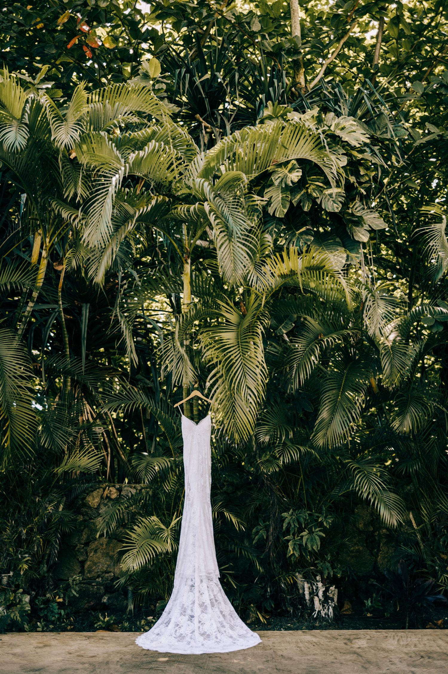 A white lace wedding gown hangs dramatically against a backdrop of tropical palm leaves.
