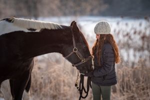 girl feeding horse