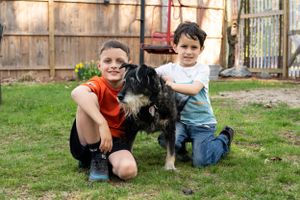 Two children kneeling in a backyard with a black and white dog on grass near a wooden fence.